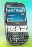 Vanzarile Palm au scazut simtitor de mult in anul 2008